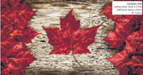 Canadian Flag 2025