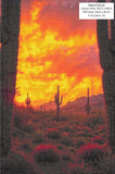 Desert Fire