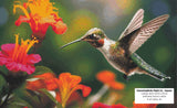 Hummingbirds Flight - Square Drills