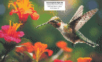 Hummingbirds Flight