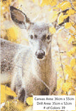 White Tailed Deer
