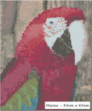 Macaw Diamond Painting - Beginner