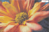 Orange Daisy Diamond Painting - Beginner
