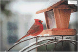 Snowy Cardinal