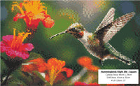 Hummingbirds Flight - Square Drills