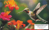 Hummingbirds Flight - Square Drills