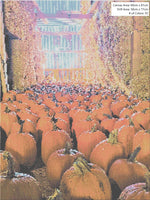 Barn Pumpkins