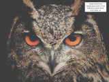 Great Horned Owl