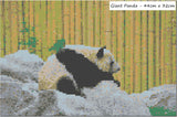 Giant Panda Diamond Painting - Beginner