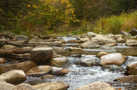 Tranquil Creek